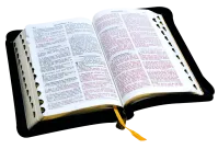 Bible Segond 1910 - compact - simili noir tr. or,onglets,ferm. eclair.