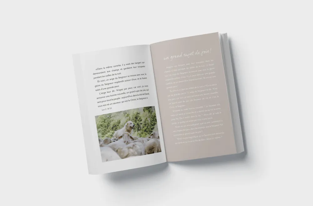 24 jours près du Berger - calendrier de l'Avent avec kit