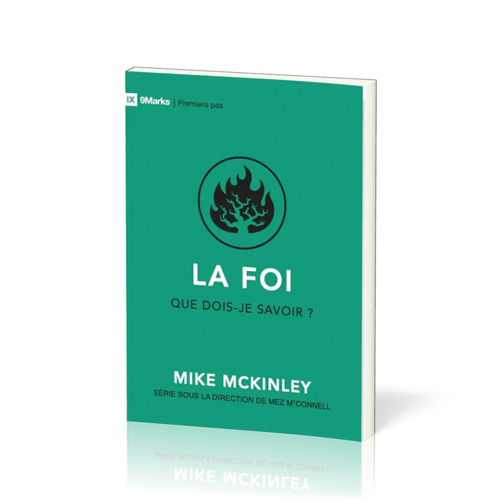 Foi que dois-je savoir ? (La)