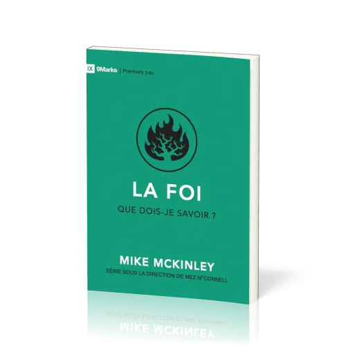 Foi que dois-je savoir ? (La)