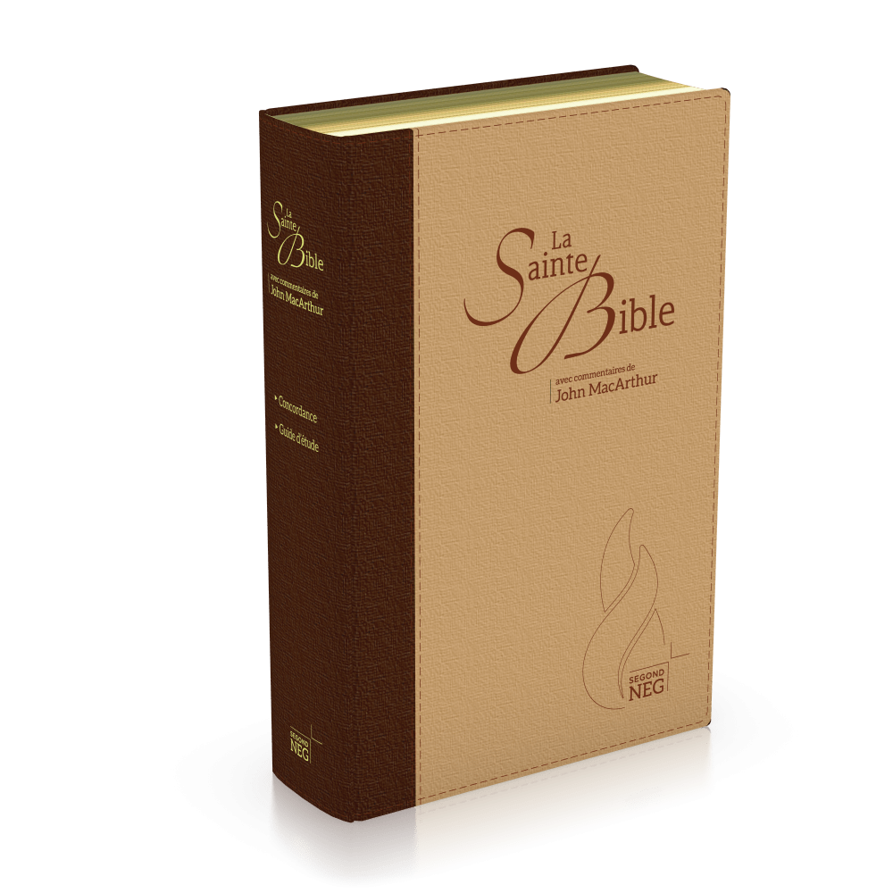 Bible NEG MacArthur - duo marron et beige - souple, toile, tranche or