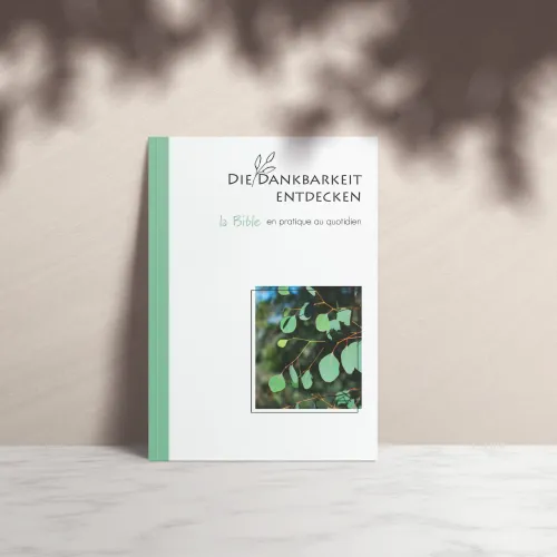 Entdecke die Dankbarkeit - die Bibel im Alltag anwenden