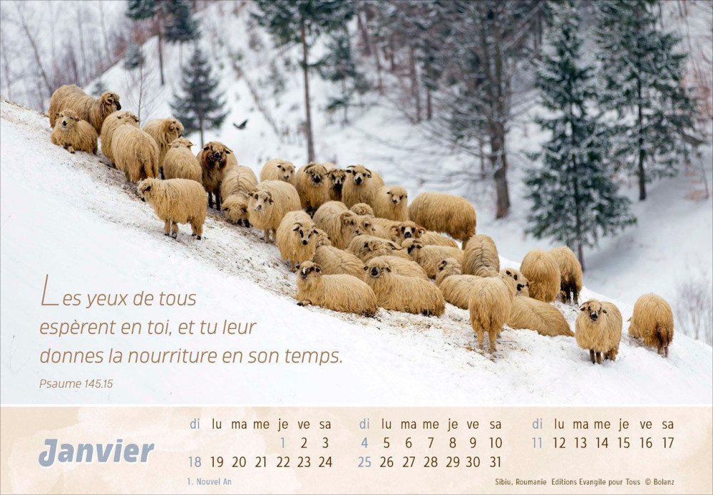 Calendrier Le Bon Berger - cartes postales