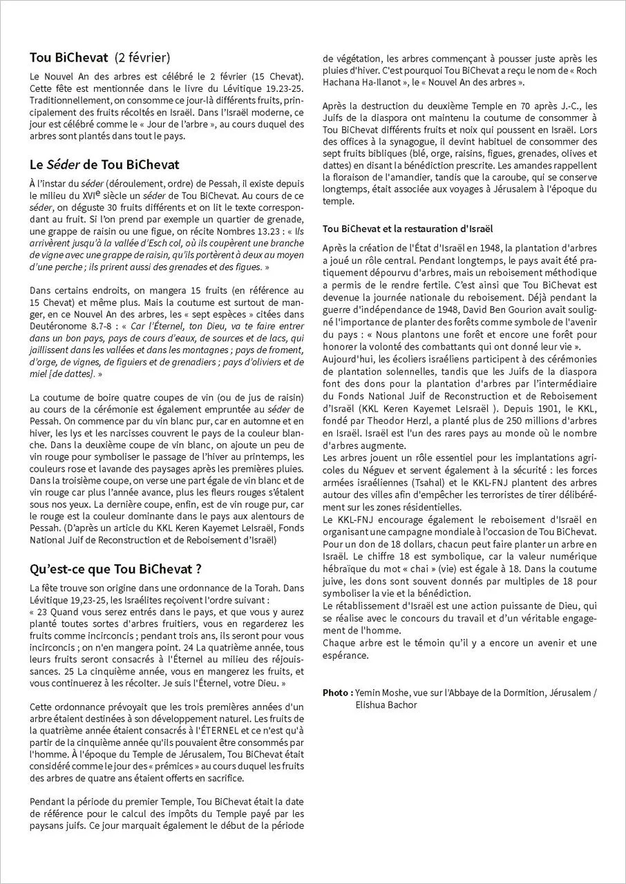 Calendrier Israël - mural grand format