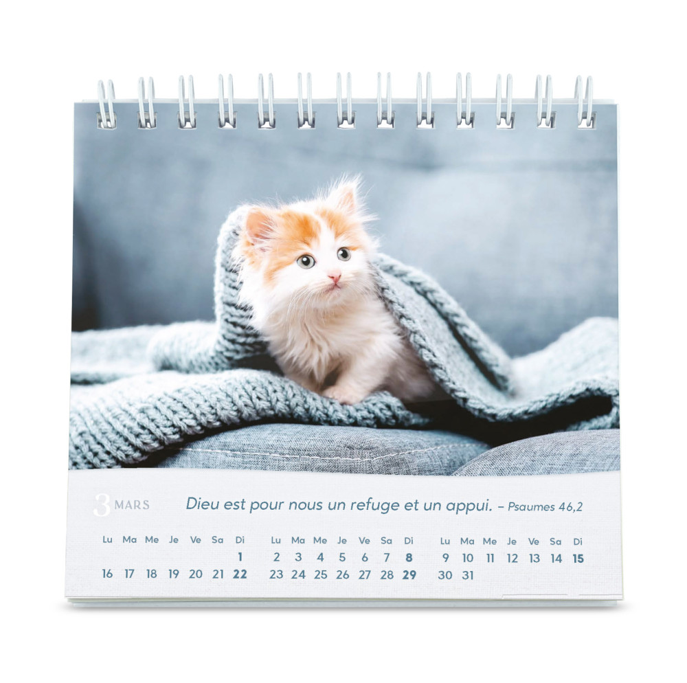 Calendrier Nos amis les chats - petit format