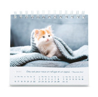 Calendrier Nos amis les chats - petit format