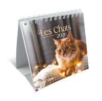 Calendrier Nos amis les chats - petit format