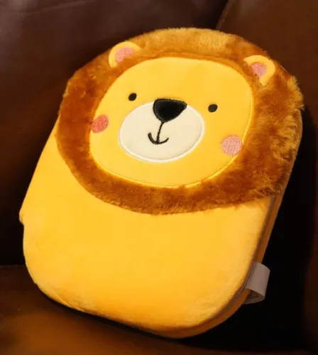 Mon courageux lionceau - Ma Bible câline