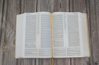 Bible NEG MacArthur semi-rigide, toile beige