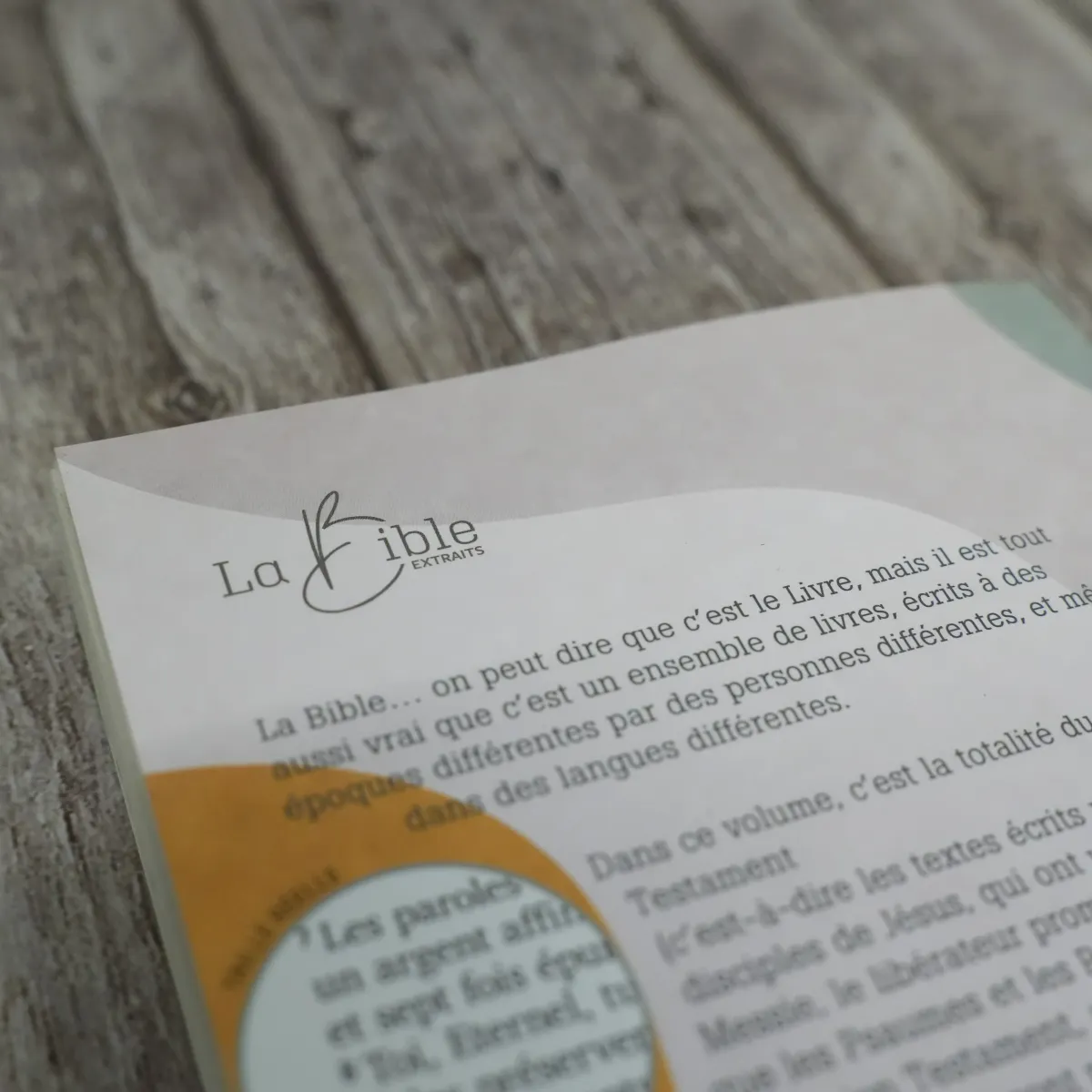 Nouveau Testament Psaumes Proverbes Segond 21 gros caractère broché