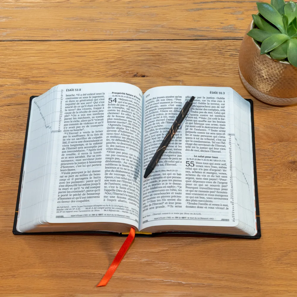 Bible Segond 21, gros caractères - couverture souple noire en fibrocuir