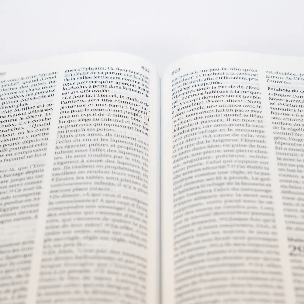 Bible Segond 21 compacte  (Premium style) - Couverture semi-rigide cuir anthracite, tranches or