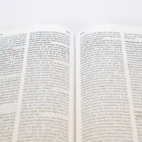 Bible Segond 21 compacte  (Premium style) - Couverture semi-rigide cuir anthracite, tranches or