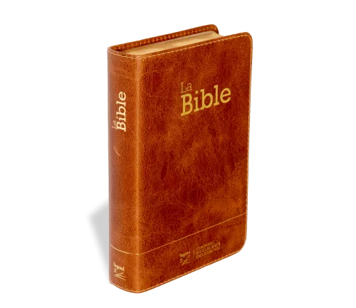 Bible Segond 21 compacte  (Premium style) - Couverture semi-rigide cuir brun, tranches or
