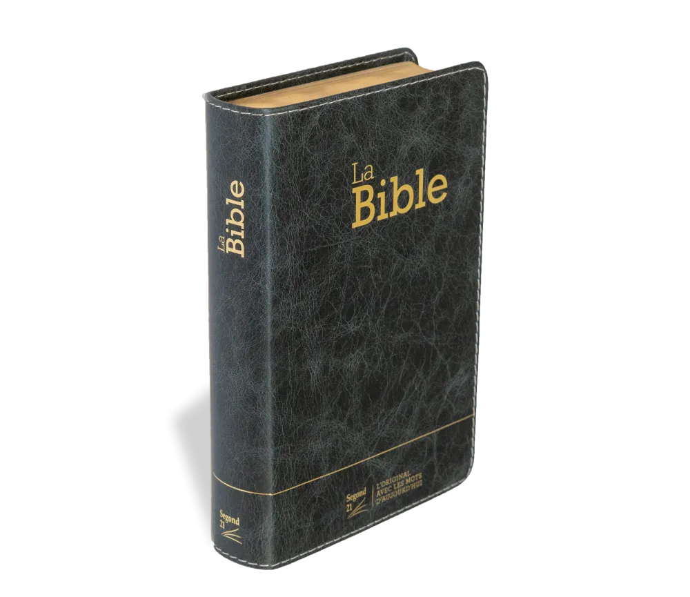 Bible Segond 21 compacte  (Premium style) - Couverture semi-rigide cuir anthracite, tranches or