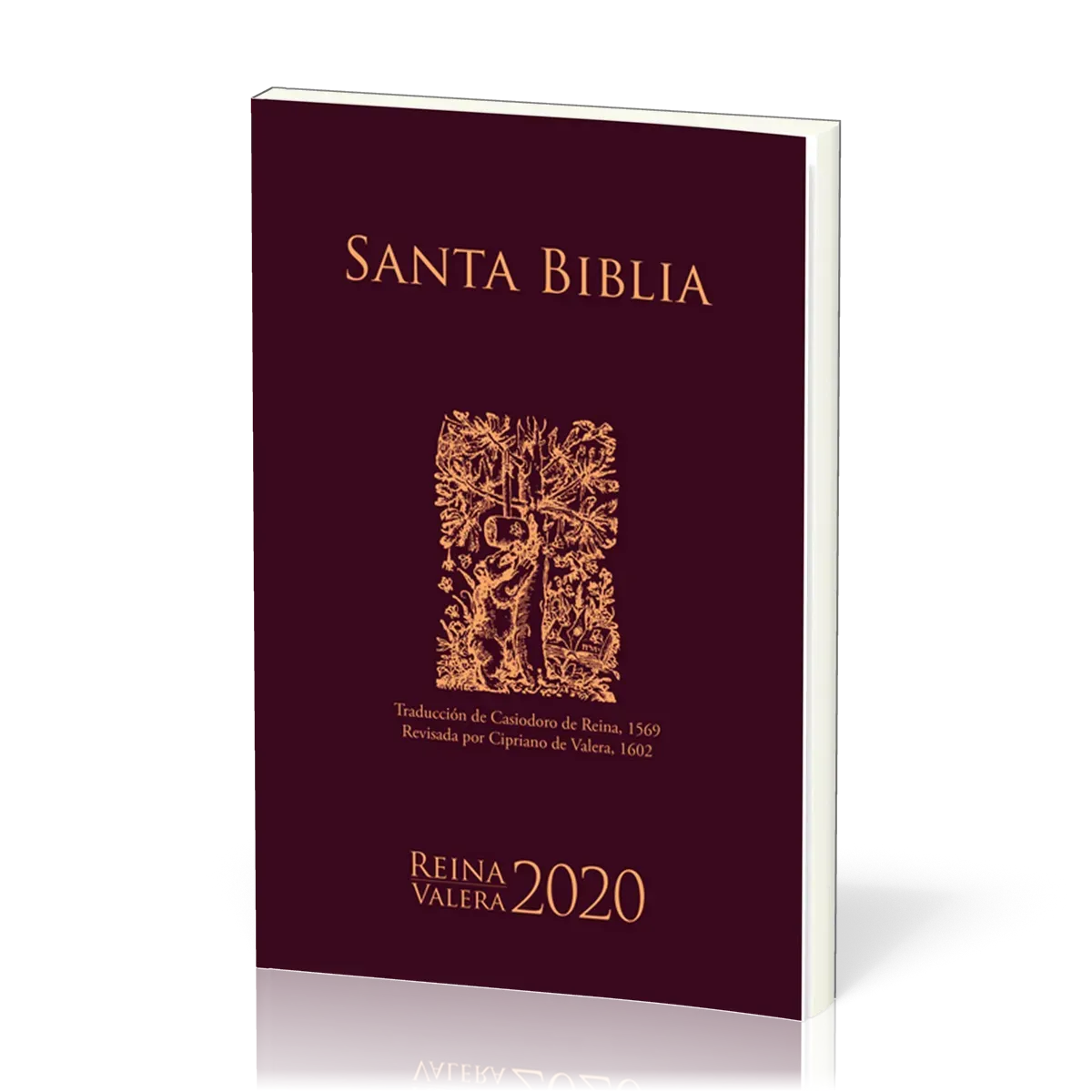 Espagnol, Bible, Reina Valera 2020, Bible d'évangélisation, brochée, bordeaux