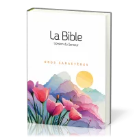 Bible Semeur 2015, gros caractères, blanche illustrée, tranche blanche