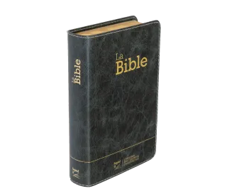 Bible Segond 21 compacte  (Premium style) - Couverture semi-rigide cuir anthracite, tranches or