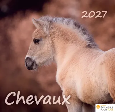 Calendrier Chevaux - Merveilles de la création