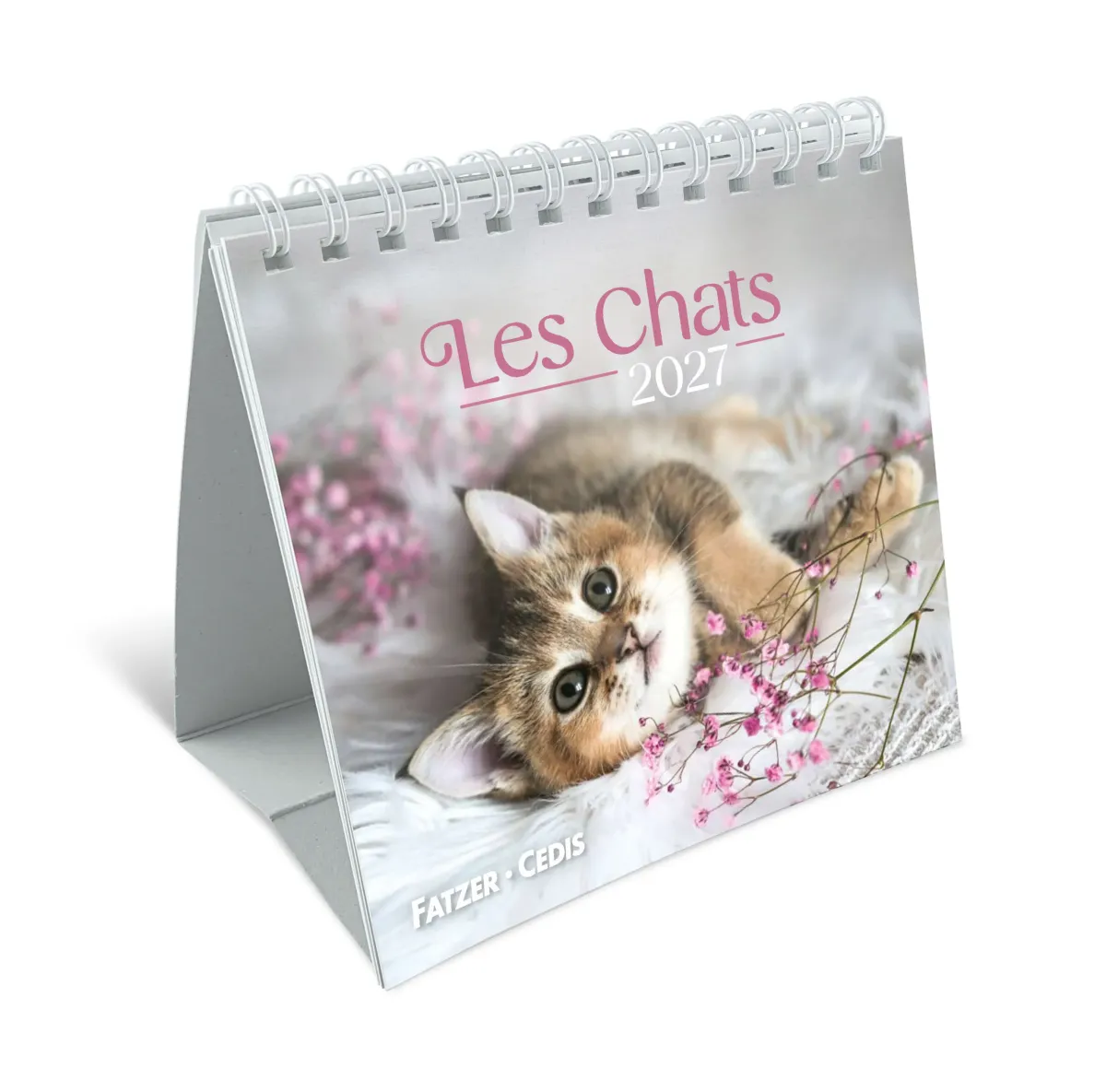 Calendrier Nos amis les chats - petit format