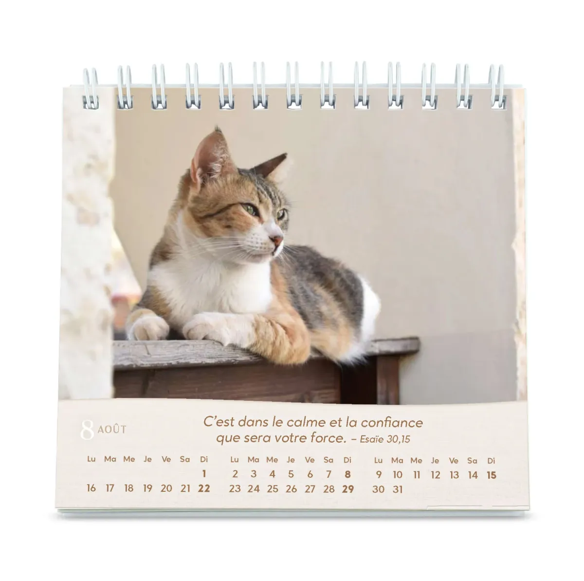 Calendrier Nos amis les chats - petit format