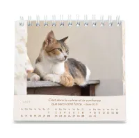 Calendrier Nos amis les chats - petit format