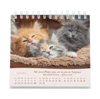 Calendrier Nos amis les chats - petit format