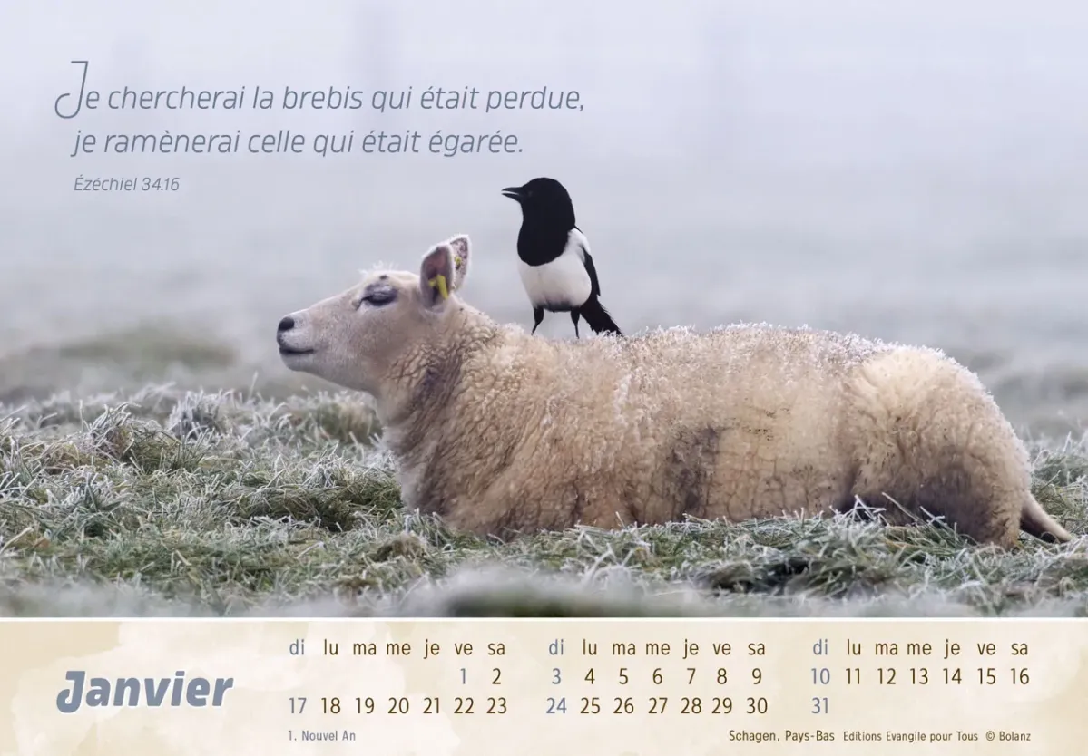 Calendrier Le Bon Berger - cartes postales