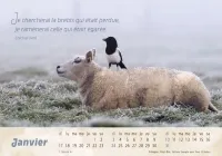 Calendrier Le Bon Berger - cartes postales