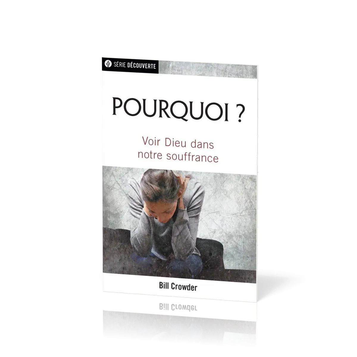 Pourquoi ? Voir Dieu dans notre souffrance ?