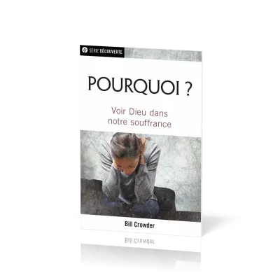 Pourquoi ? Voir Dieu dans notre souffrance ?