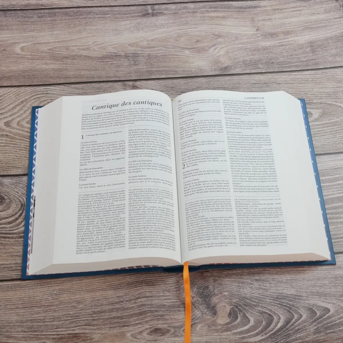 Bible Segond 21, avec notes de références