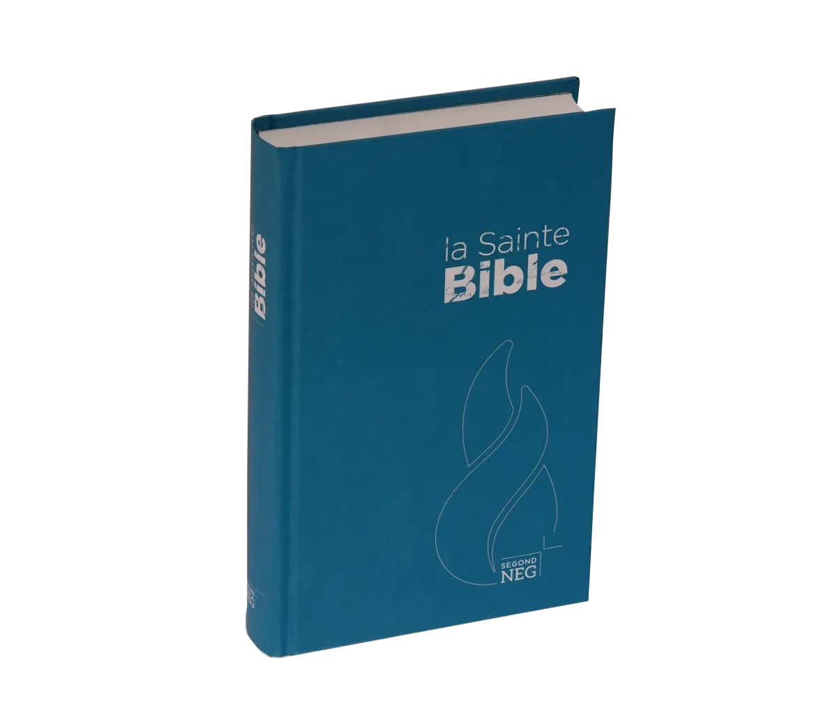 Bible NEG compact rigide bleue