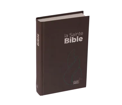 Bible NEG compact rigide brune