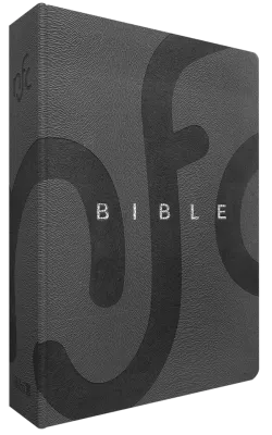 Bible Nouvelle Français courant souple similicuir gris tranche argent sans deutérocanoniques