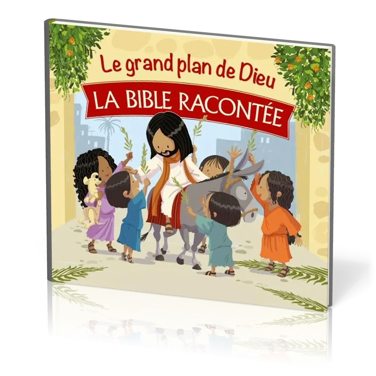 Grand plan de Dieu (Le) La Bible racontée