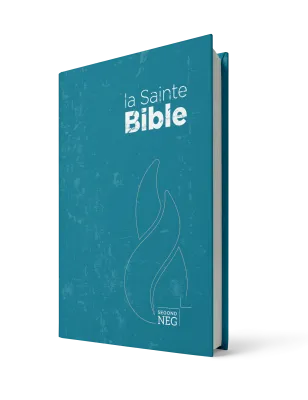 Bible NEG compact rigide bleue