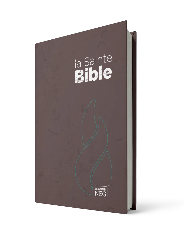Bible NEG compact rigide brune