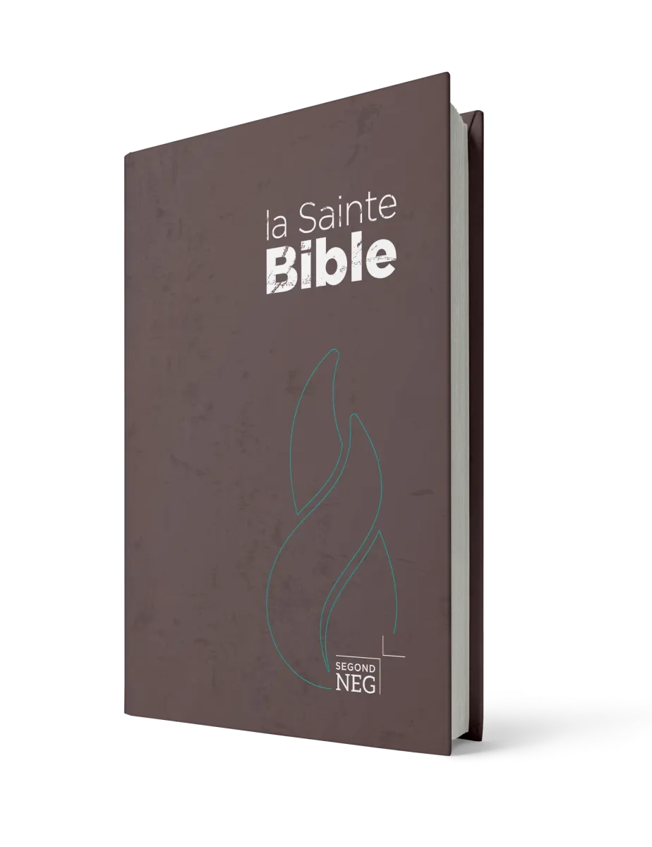 Bible NEG compact rigide brune