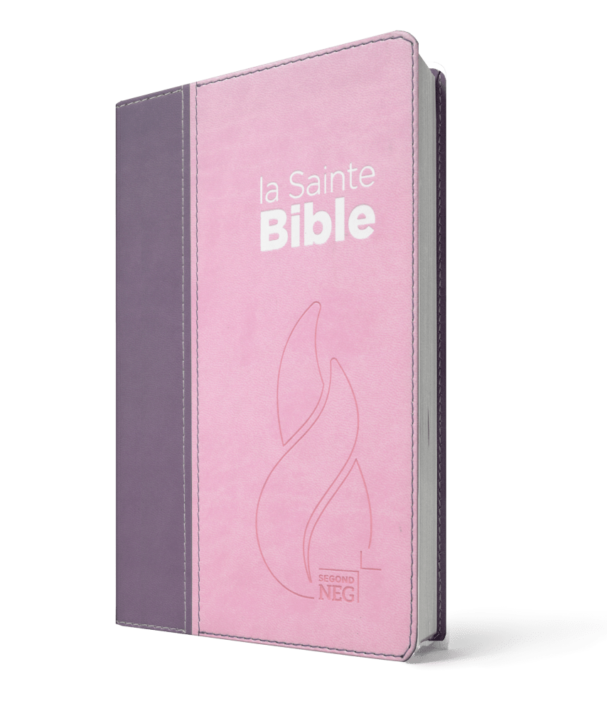 Bible Segond NEG compacte