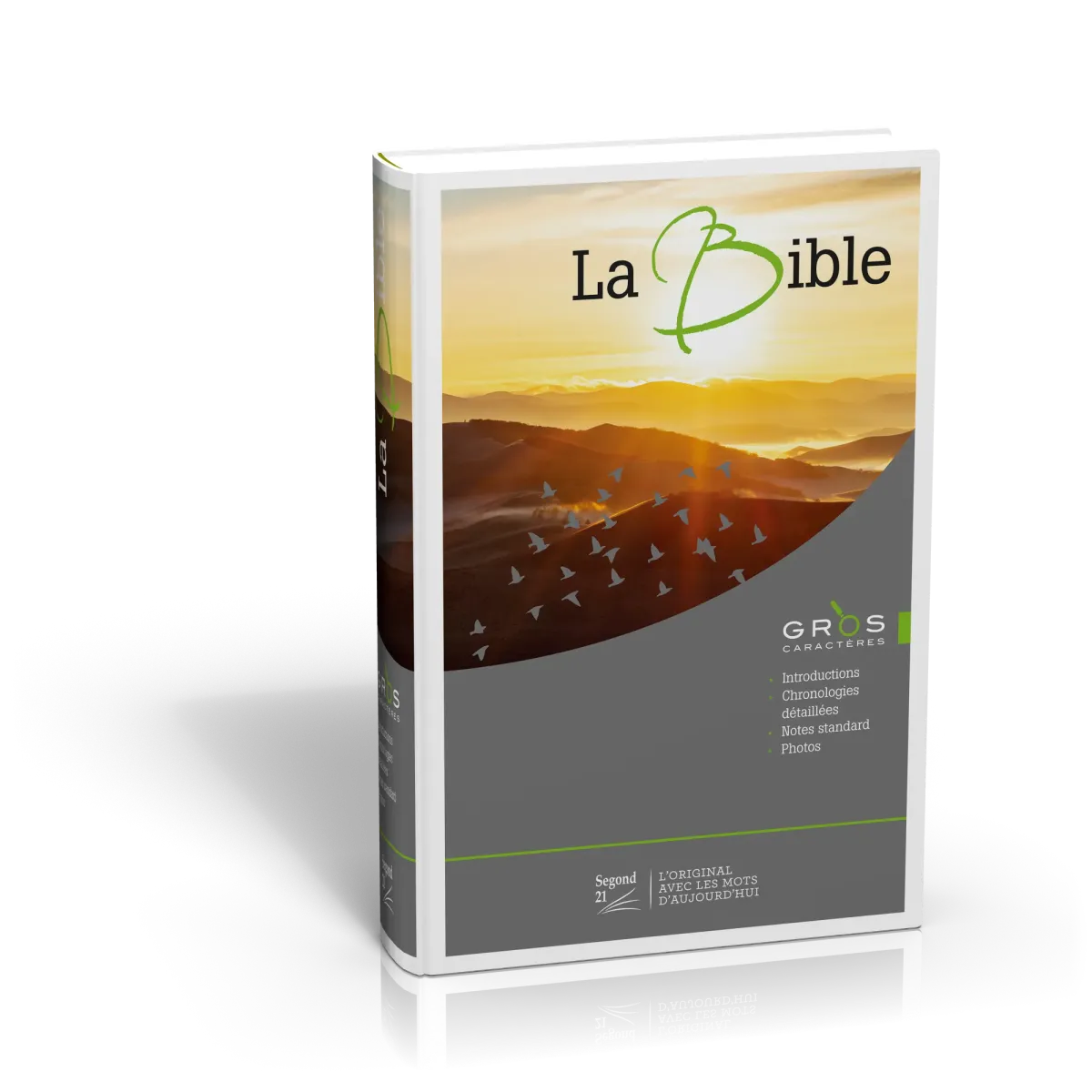 Bible Segond 21 gros caractères rigide illustrée