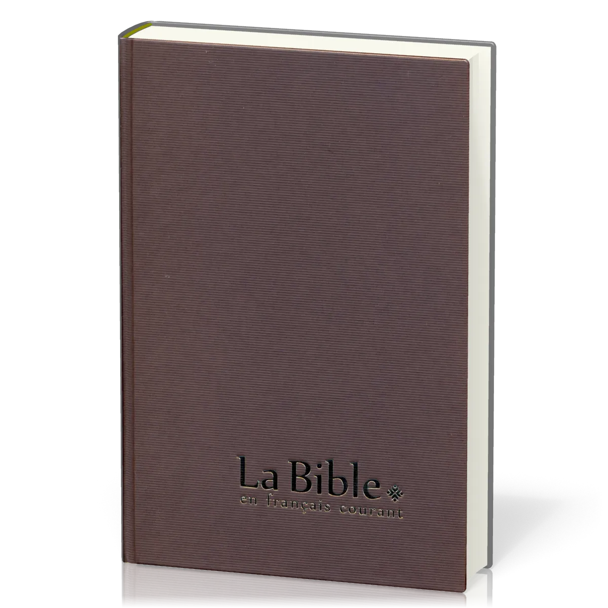 Bible Français courant - gros caractères - couverture rigide brun