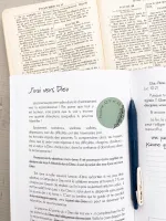 Bible en pratique au quotidien (La) - Découvrir la reconnaissance