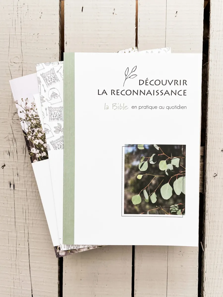 Bible en pratique au quotidien (La) - Découvrir la reconnaissance