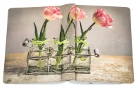 BIBLE SCHLACHTER 2000 allemand motif tulipe