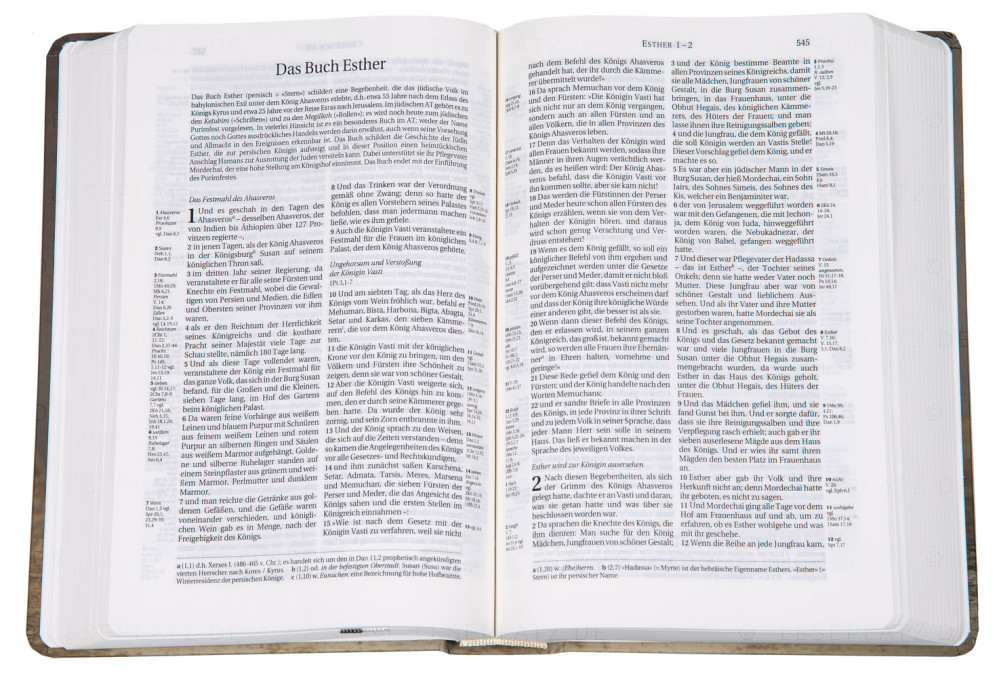 BIBLE SCHLACHTER 2000 allemand motif tulipe