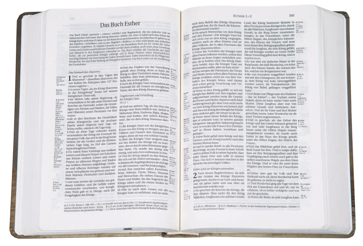 BIBLE SCHLACHTER 2000 allemand motif tulipe