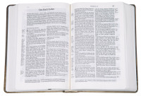 BIBLE SCHLACHTER 2000 allemand motif tulipe