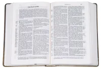 BIBLE SCHLACHTER 2000 allemand motif tulipe