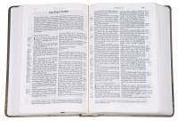 BIBLE SCHLACHTER 2000 allemand motif tulipe